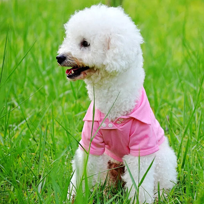 Luxury Pet Shirt