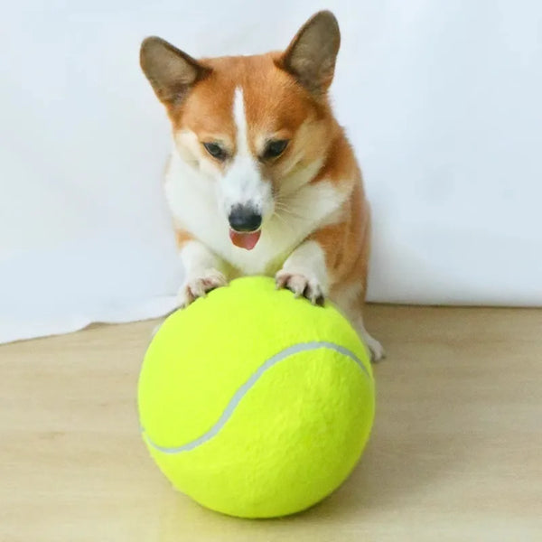 Giant Tennis Ball