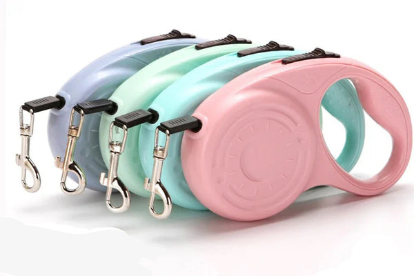 Dog Leash