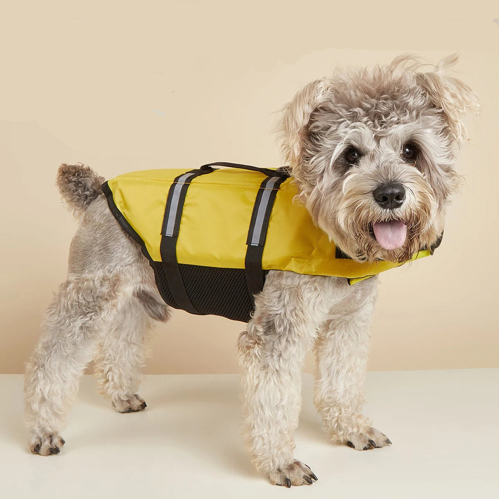 Dog Life Jacket