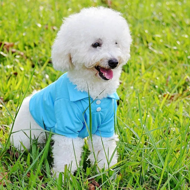 Luxury Pet Shirt